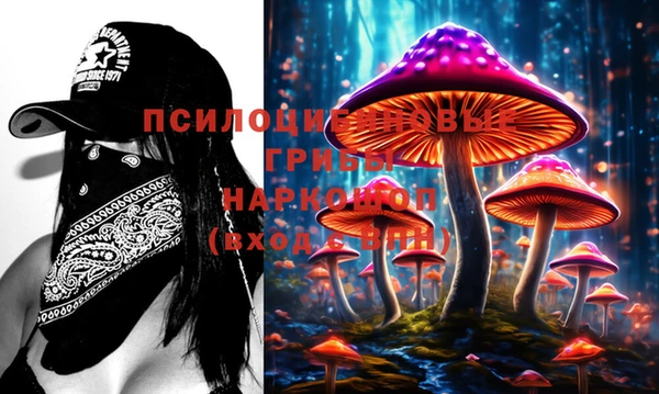кокаин премиум Няндома