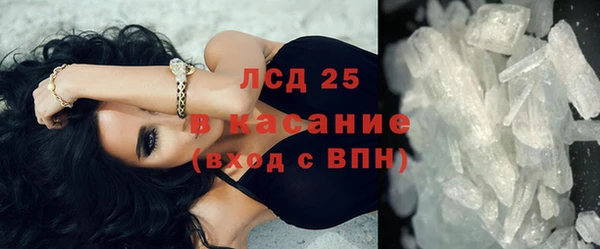 ГАЛЛЮЦИНОГЕННЫЕ ГРИБЫ Алзамай