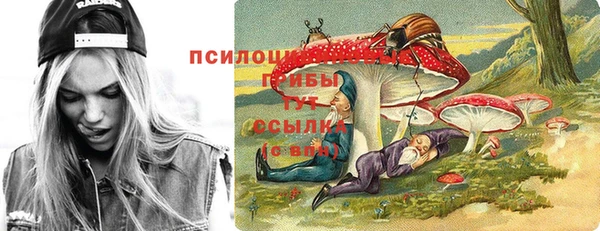 СК Алексеевка